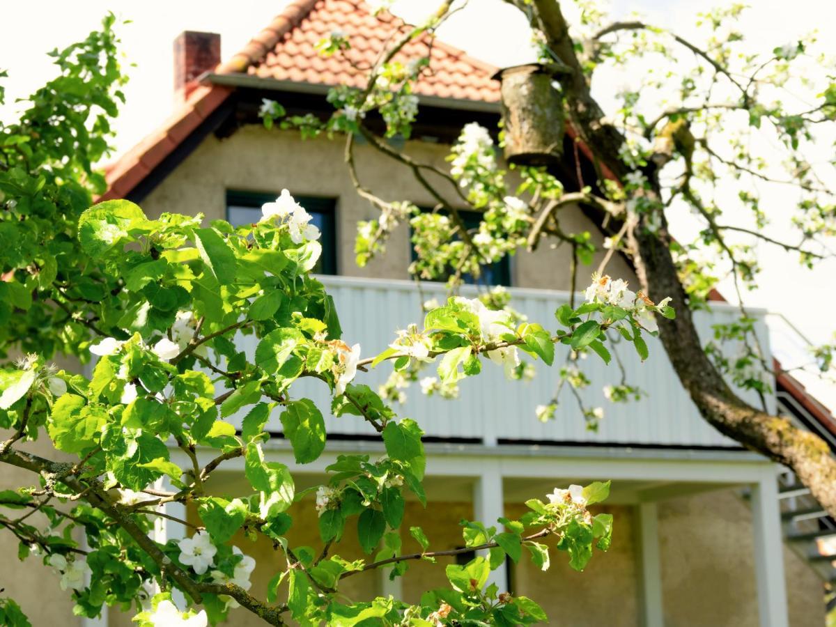Ferienwohnung Rohlffs Stolpe Auf Usedom ภายนอก รูปภาพ